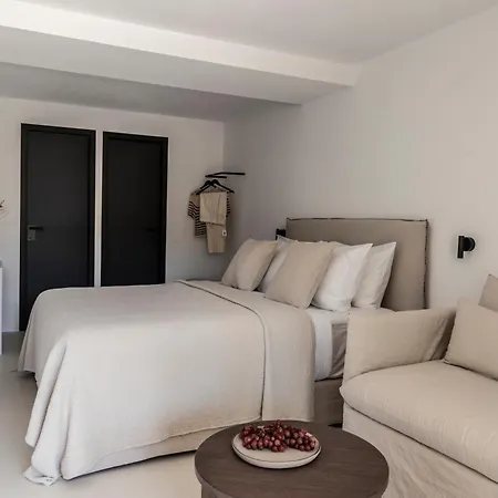 Ela Tinos Hotel apartamentowy Arnados