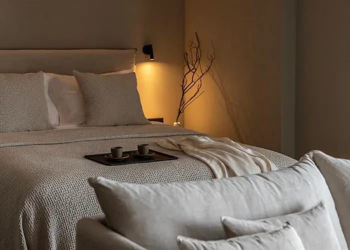 アパートホテル Ela Tinos Arnados